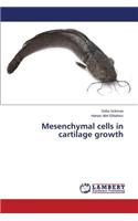 Mesenchymal cells in cartilage growth