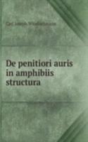 De penitiori auris in amphibiis structura