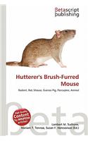 Hutterer's Brush-Furred Mouse: (English)