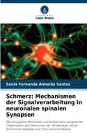 Schmerz: Mechanismen der Signalverarbeitung in neuronalen spinalen Synapsen