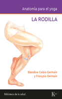 Anatomia para el yoga: La rodilla: Todo lo que debe saber sobre la rodilla durante la practica de yoga