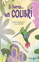 Si fueras... un colibri: Â¡Podrias volar hacia atras!