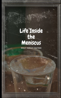 Life Inside the Miniscus