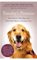 Tuesday's Promise