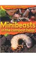Minibeasts in the Compost Heap