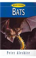 Wild Guide: Bats