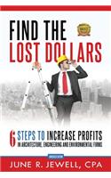 Find the Lost Dollars