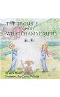 Trouble with Whatchamacallits