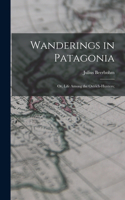 Wanderings in Patagonia; or, Life Among the Ostrich-hunters;