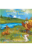 Godfrey Owl