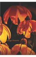 Orange Flowers