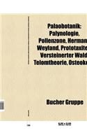 Palaobotanik: Ausgestorbene Pflanze, Lepidodendrales, Lyginopteridales, Medullosales, Cordaitales, Cheirolepidiaceae, Pseudosporochn