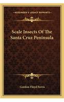 Scale Insects of the Santa Cruz Peninsula