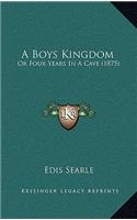 A Boys Kingdom: Or Four Years in a Cave (1875)