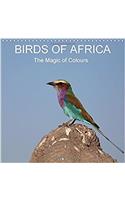 Birds of Africa - The Magic of Colours 2017