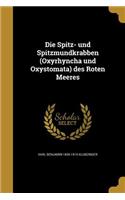 Die Spitz- und Spitzmundkrabben (Oxyrhyncha und Oxystomata) des Roten Meeres