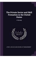 The Private Sector and Skill Formation in the United States