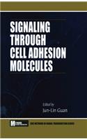 Signaling Through Cell Adhesion Molecules