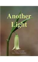 Another Light