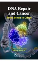 DNA Repair and Cancer