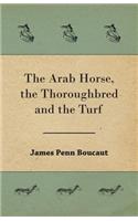 Arab Horse, the Thoroughbred and the Turf