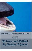 Journey of Tritus Aqua Marine