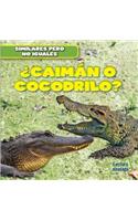 ¿Caimán O Cocodrilo? (Alligator or Crocodile?): (Similares Pero No Iguales (Animal Look-Alikes))