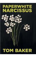 Paperwhite Narcissus