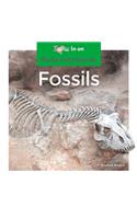 Fossils: (Rocks and Minerals)