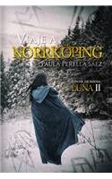 Viaje a Norrköping