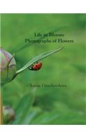 Life in Bloom