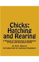 Chicks