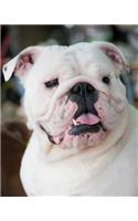 Bulldog: Artified Pets Journal/Notebook/Diary, 8" by 10" and 160 Pages