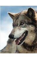 80 Page Wolf Sketchbook