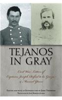 Tejanos in Gray