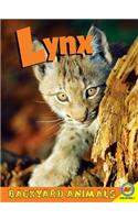 Lynx
