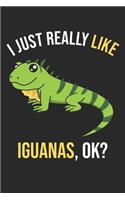 I Just Really Like Iguanas, OK?: DIN A5 Leguan Notizheft gepunktet - 120 Seiten gepunktetes Leguan Notizbuch für Notizen in Schule, Universität, Arbeit oder zuhause. - Eine tolles G