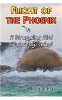 Flight of the Phoenix