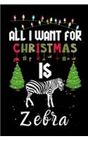 All I Want For Christmas Is Zebra
