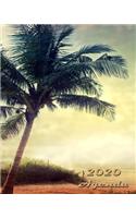 2020 Agenda: Large 8"x 10" Daily and Monthly Agenda Planner and Organizer - 1-Page-a-Day to Plan, Organize and Be Productive V16
