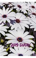 2019 Diary