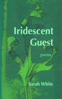 Iridescent Guest