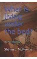 What Is Living Under the Bed?