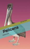 Pelicans