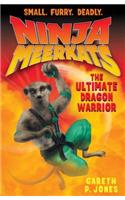 The Ultimate Dragon Warrior