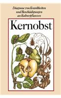 Kernobst