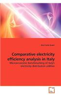 Comparative electricity efficiency analysis in Italy