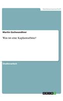Was ist eine Kaplanturbine?