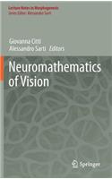 Neuromathematics of Vision