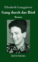 Gang durch das Ried